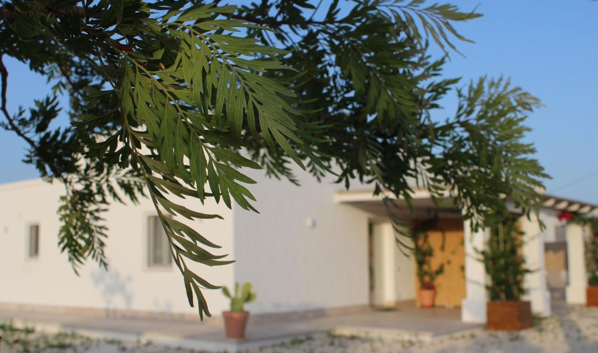 Villa Susca - Villa Sul Mare Monopoli Exterior photo